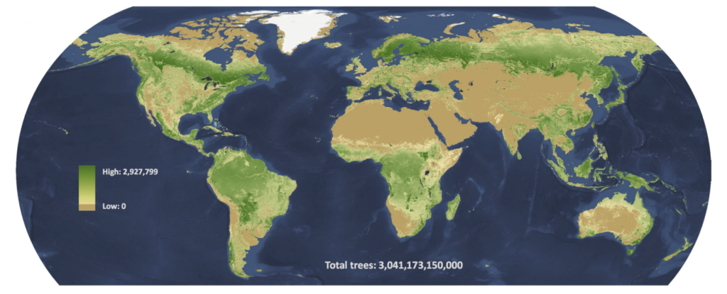 По последним подсчетам, в мире три триллиона деревьев, но и эти цифры могут быть занижены: данных по тропическим лесам не очень много. К тому же, согласно новой работе, получается, что в Амазонии деревья стоят менее плотно, чем на далеком Севере, во что не слишком просто поверить / ©Crowther et al.